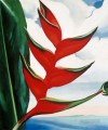 Heliconia crabs claw ginger Georgia Okeeffe American modernism Precisionism